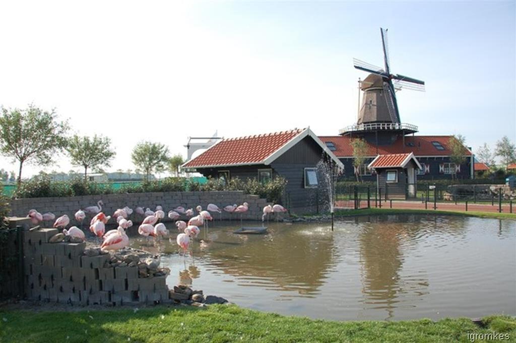 Dirkshorn Zonnig Zuidヴィラ 部屋 写真