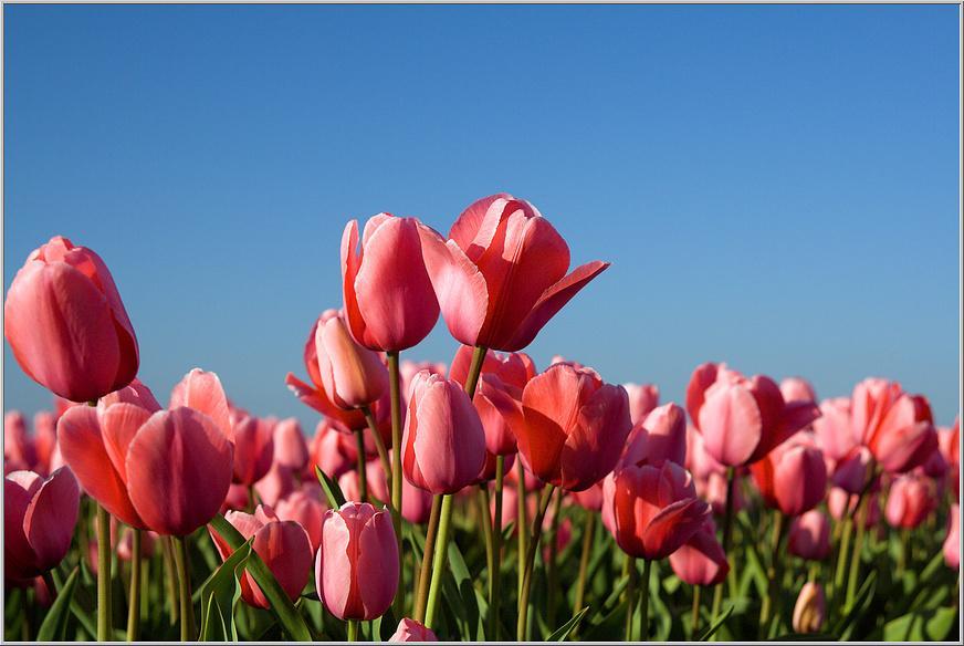 Dirkshorn Zonnig Zuidヴィラ 部屋 写真